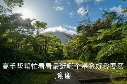 華寶興業服務優選混合基金凈值
