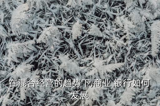 銀行混改革方案,2023年村鎮銀行改革方案