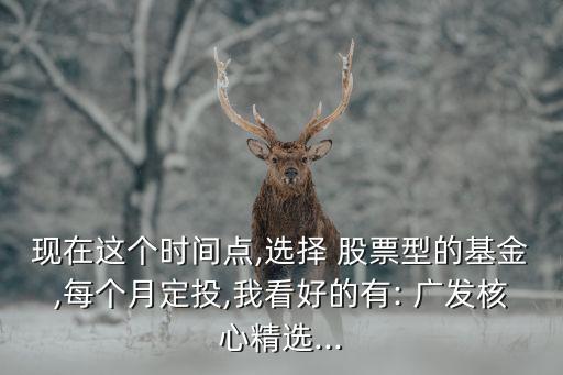 現在這個時間點,選擇 股票型的基金,每個月定投,我看好的有: 廣發核心精選...