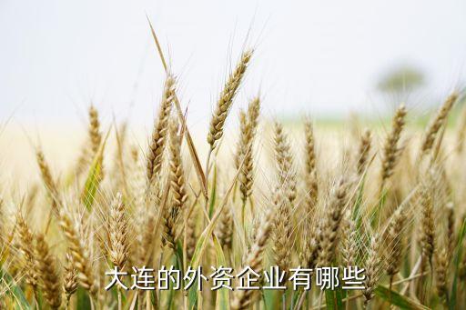  大連的外資企業有哪些