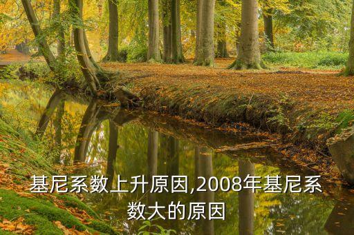 中國基尼系數上升原因,2008年基尼系數大的原因