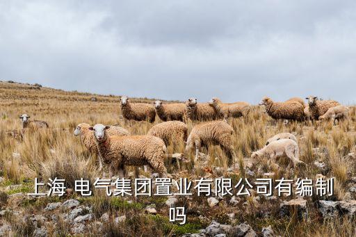  上海 電氣集團置業有限公司有編制嗎