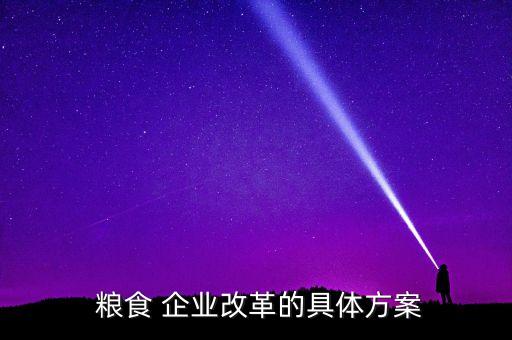  糧食 企業改革的具體方案