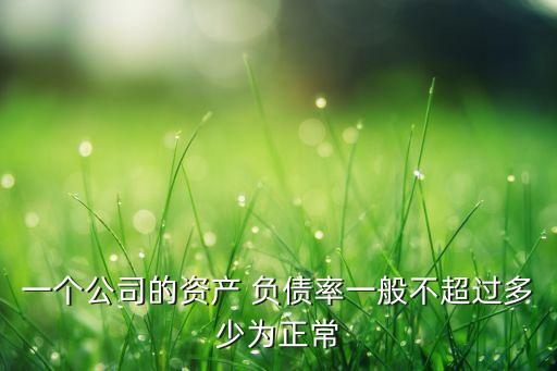 一個公司的資產 負債率一般不超過多少為正常