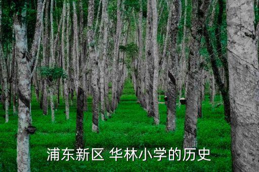 浦東新區 華林小學的歷史