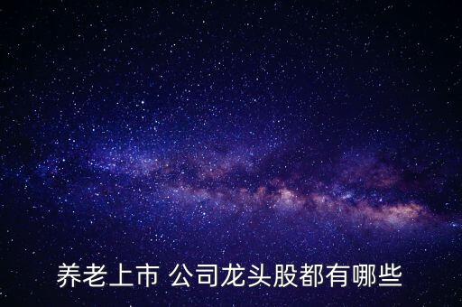 養老上市 公司龍頭股都有哪些
