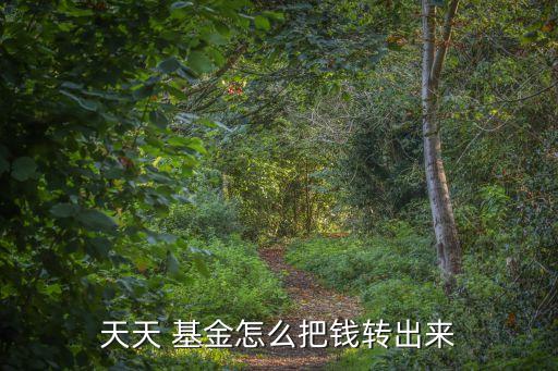 基金實時提現,天天基金怎么提現