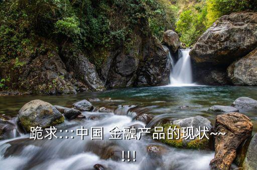 跪求:::中國 金融產品的現狀~~!!!