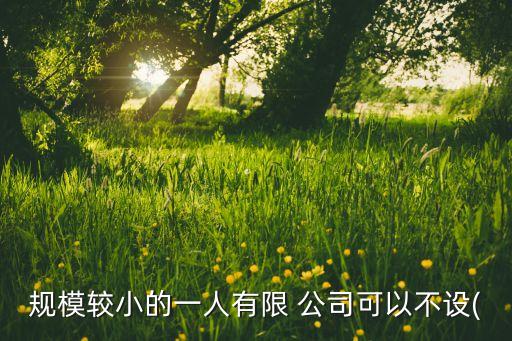 規模較小的一人有限 公司可以不設(