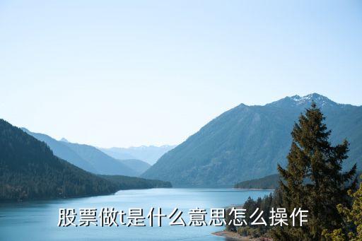 股票O02314,股票開戶程序