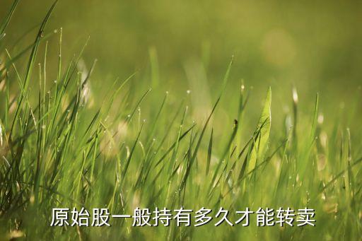 公司發行原始股有限制嗎,一個公司能發行多少原始股