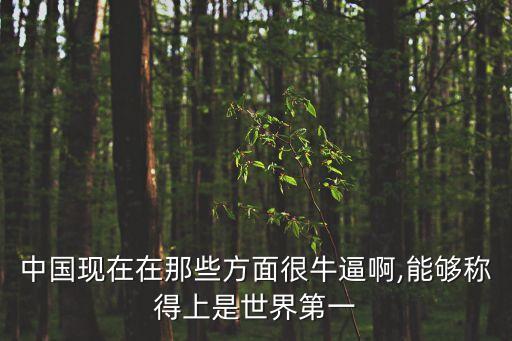 中國清兼指數