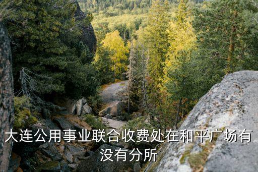 大連公用事業聯合收費處在和平廣場有沒有分所