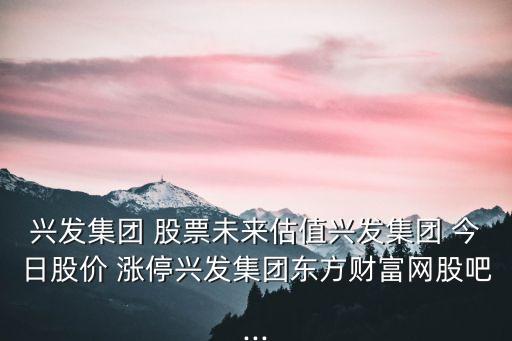 興發集團 股票未來估值興發集團 今日股價 漲停興發集團東方財富網股吧...