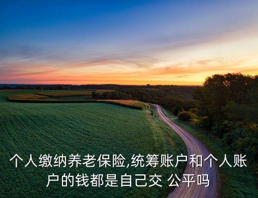 個人繳納養老保險,統籌賬戶和個人賬戶的錢都是自己交 公平嗎