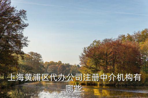  上海黃浦區代辦公司注冊中介機構有哪些