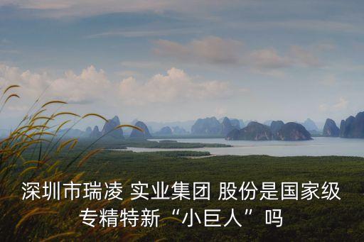深圳市瑞凌 實業集團 股份是國家級專精特新“小巨人”嗎