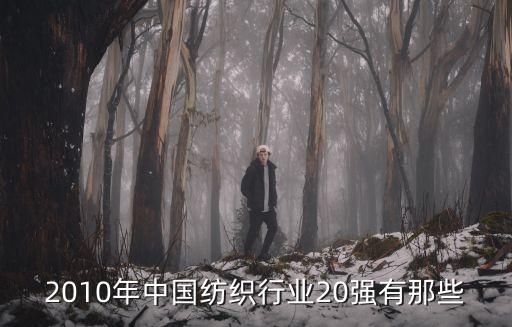 2010年中國紡織行業20強有那些