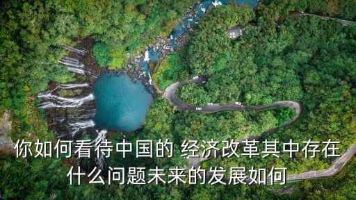 你如何看待中國的 經濟改革其中存在什么問題未來的發展如何