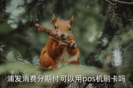 浦發銀行分期購物