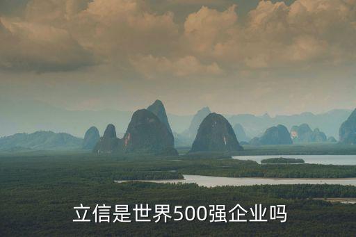 中國恒天立信工業中山項目,中山恒天立信工業有限公司