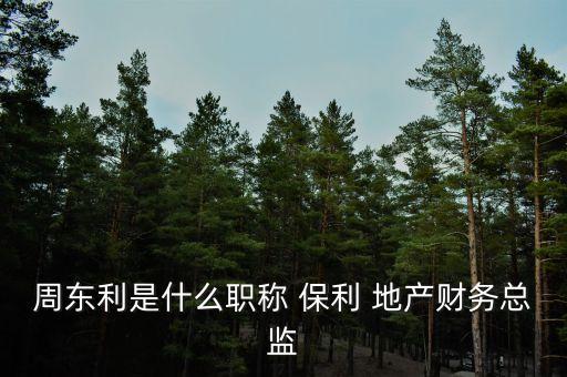周東利是什么職稱 保利 地產財務總監