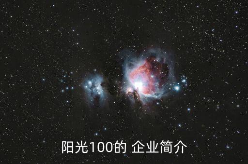 中國藍籌地產企業