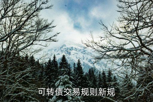 可轉債交易規則新規