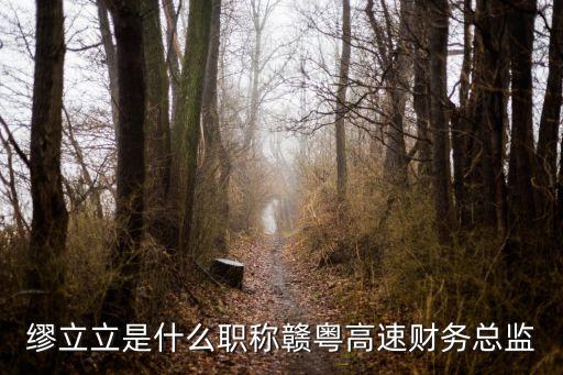 繆立立是什么職稱贛粵高速財務總監