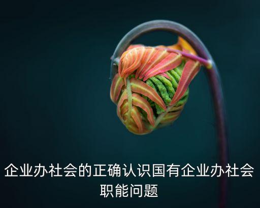 企業辦社會的正確認識國有企業辦社會職能問題