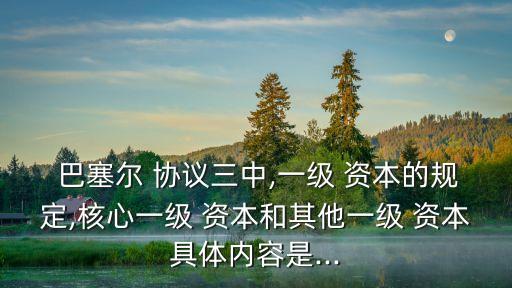 中國版的巴塞爾資本協議3,第二版巴塞爾資本協議第三支柱