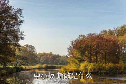 中小板指數股票有哪些,怎么查中小板都有哪些股票