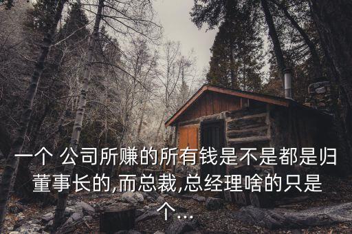 一個 公司所賺的所有錢是不是都是歸 董事長的,而總裁,總經理啥的只是個...