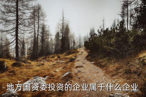萬華化學集團資產,寧波萬華化學集團股份有限公司