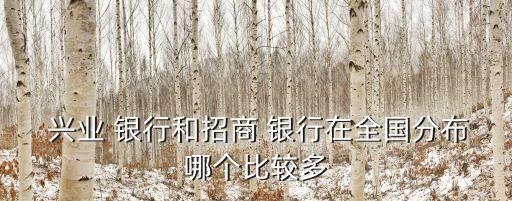  興業 銀行和招商 銀行在全國分布哪個比較多