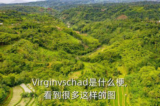 維珍集團的創意,維珍創意430305