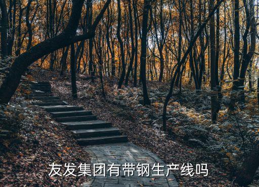 天津市軋三友發有限公司,邯鄲友發鋼管有限公司