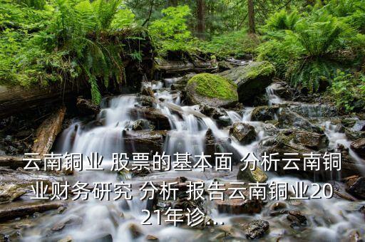 云南銅業 股票的基本面 分析云南銅業財務研究 分析 報告云南銅業2021年診...