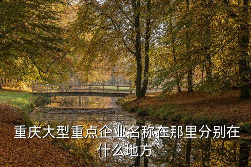  重慶大型重點企業名稱在那里分別在什么地方