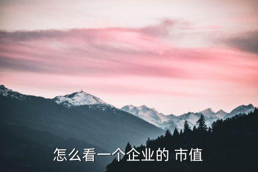 怎么看一個企業的 市值