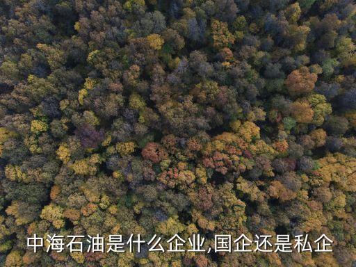 中海石油是什么企業,國企還是私企