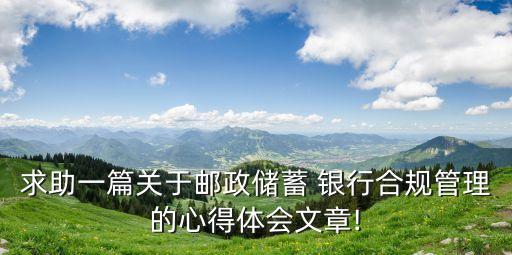 郵儲銀行經營分析
