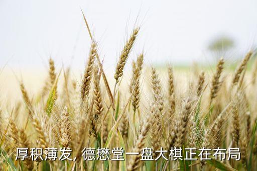厚積薄發, 德懋堂一盤大棋正在布局