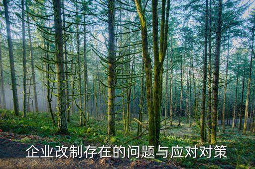 企業改制存在的問題與應對對策
