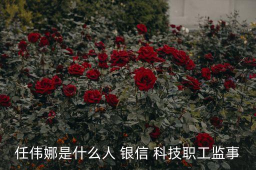 任偉娜是什么人 銀信 科技職工監事