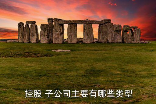  控股 子公司主要有哪些類(lèi)型