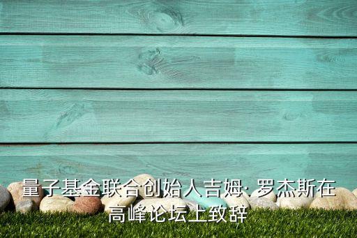 量子基金聯合創始人吉姆· 羅杰斯在高峰論壇上致辭