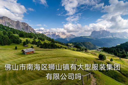 佛山市南海區獅山鎮有大型服裝集團 有限公司嗎