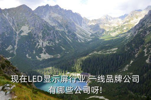 現在LED顯示屏行業,一線品牌公司有哪些公司呀!