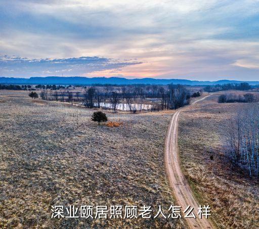  深業頤居照顧老人怎么樣
